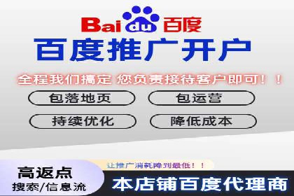 百度推广服务费案例解析：如何降低成本