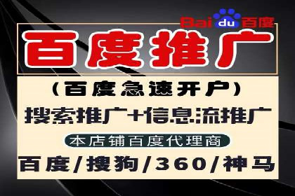 某电商平台的SEM推广策略——代运营公司的实践